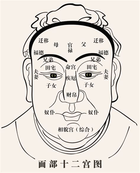 面相 眼袋|男人眼下子女宫眼袋青黑色的面相分析 命运风水面相。